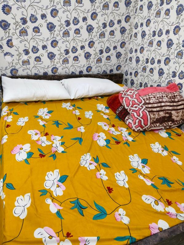 Rupali Guest House - image 7