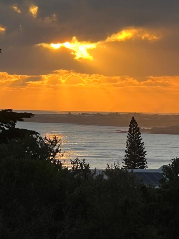 Mountain View Studio Hermanus - image 5