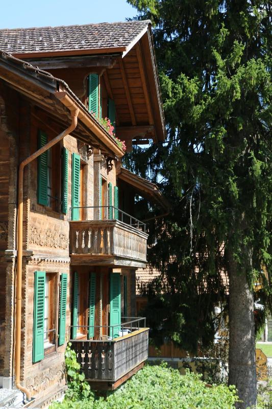 Edelweiss Lodge - image 10