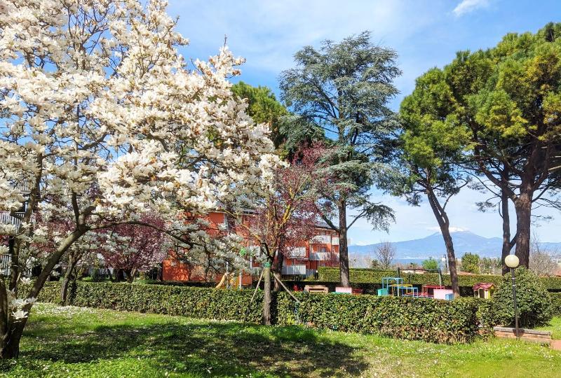 Cappuccini Appartments - image 31