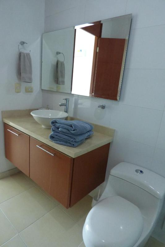 Costa Azul Suites 403 - image 37