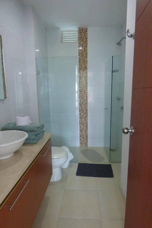 Costa Azul Suites 403 - image 39
