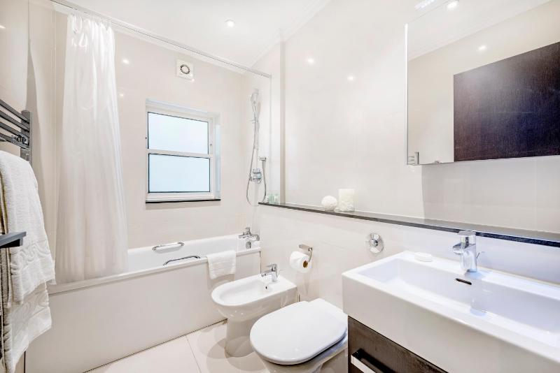 One-Bedroom Apartment image 4