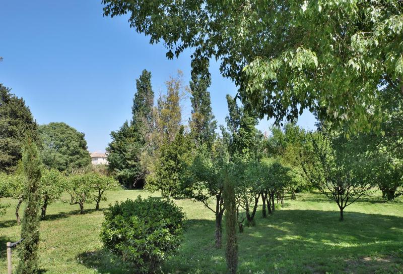 Mas Château Blanc - image 21