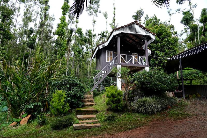 Jungle Greens Homestay - 150Y Old Coffee Estate Home Food Jungle Safari - image 12
