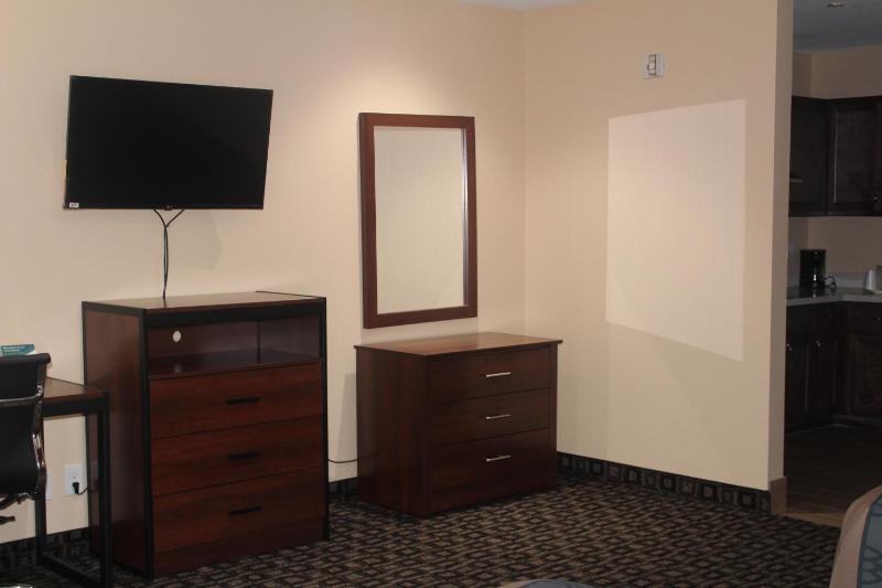 Americas Best Value Inn NRG Park Medical Center - image 38