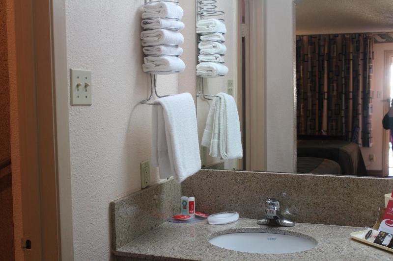 Americas Best Value Inn NRG Park Medical Center - image 36