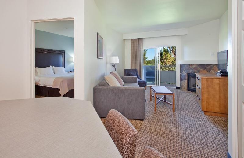 Deluxe King Suite image 4