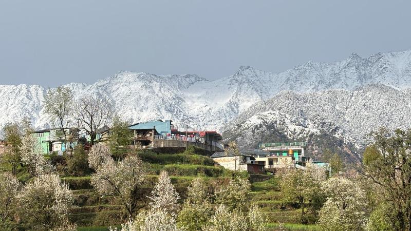 Abhi house Naddi - image 22