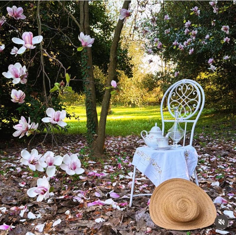Villa La Dogana - B&B with a lovely garden - Private parking - Slow living in an old-fashioned historical home - image 47