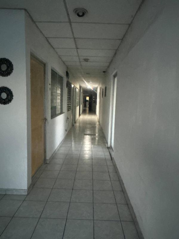 Nómada Studios - image 3