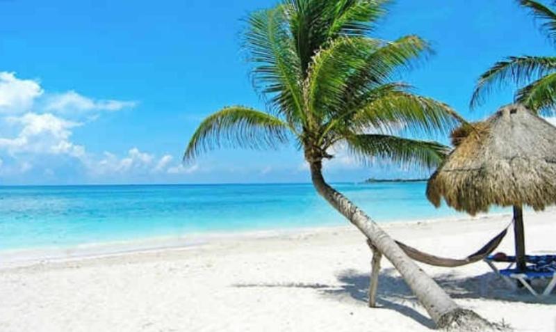 Grand Blue Playa - image 40
