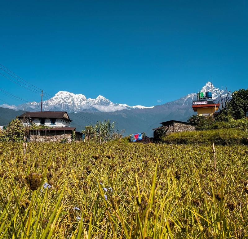 Anne Homestay - image 15