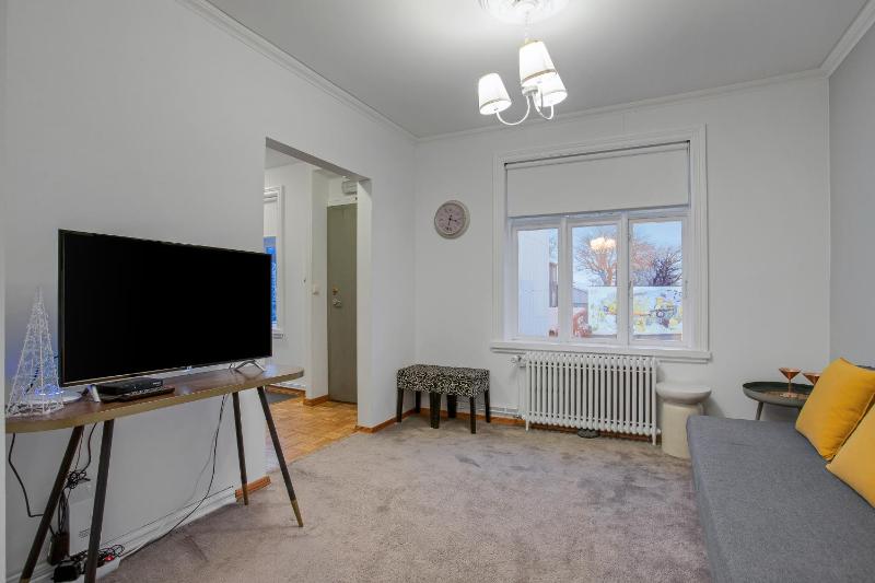 Reykjavik 101 Suites - image 3