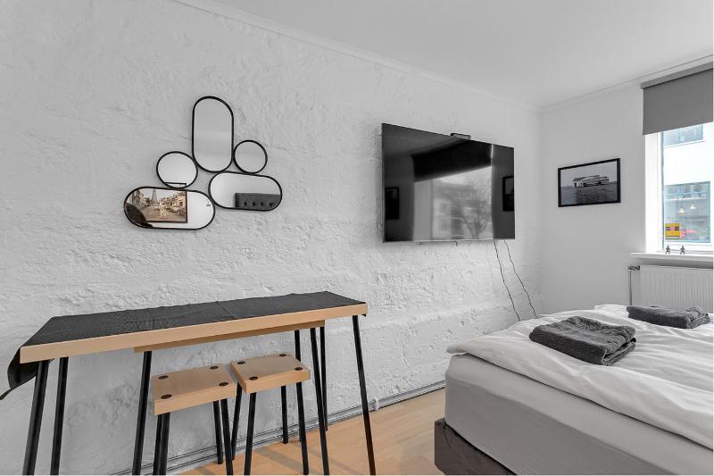Reykjavik 101 Suites - image 8
