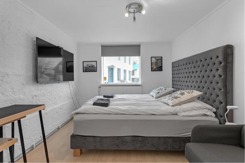 Reykjavik 101 Suites - image 7