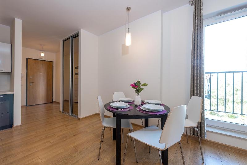 One-Bedroom Apartment image 4