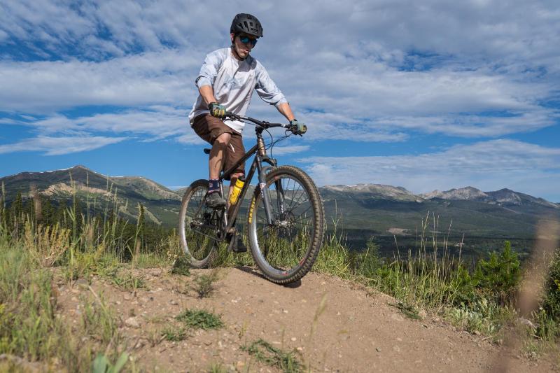 Breck Mountain Lookout - Dog Friendly Home - image 35