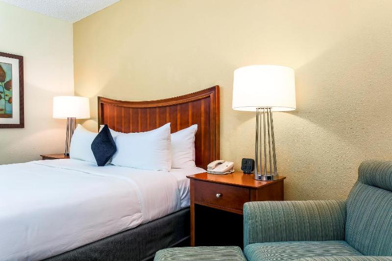 King Room - Non-Smoking image 1