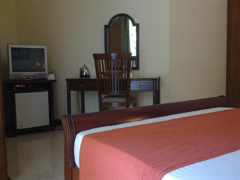 Deluxe Double Room image 4