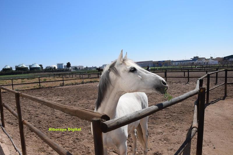 Apartment with Sea View image 4