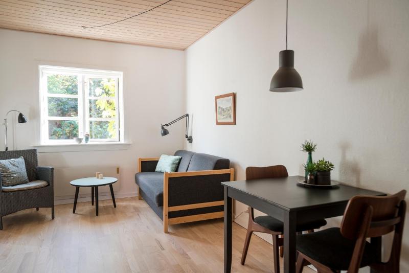 One-Bedroom Apartment image 2