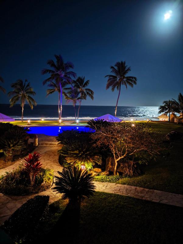Ocean Dream - image 2