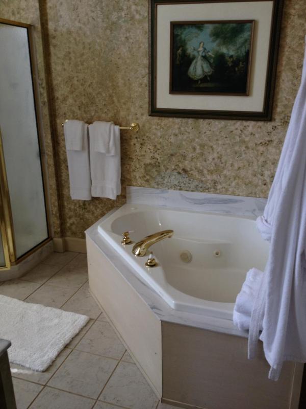 Deluxe King Suite image 1