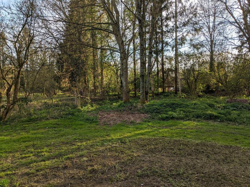 The BullpenManor Farm - image 11