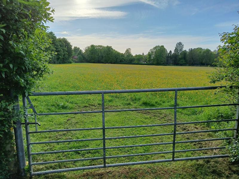 The BullpenManor Farm - image 28