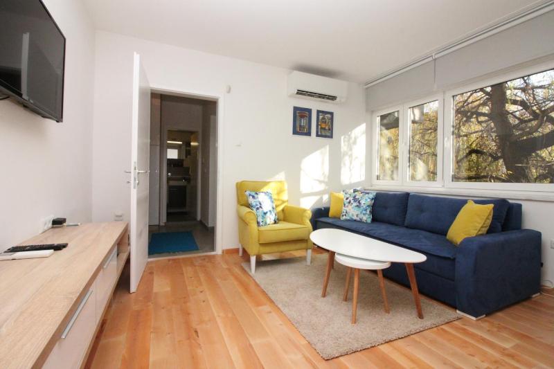 One-Bedroom Apartment image 4