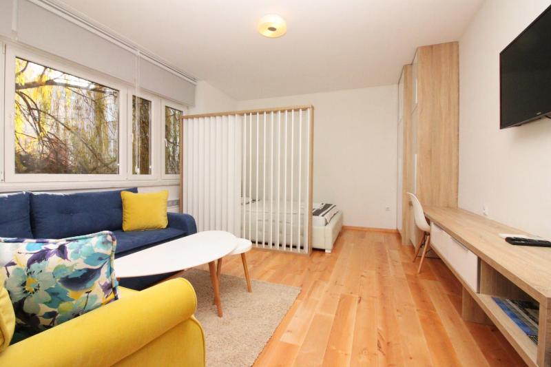 One-Bedroom Apartment image 3