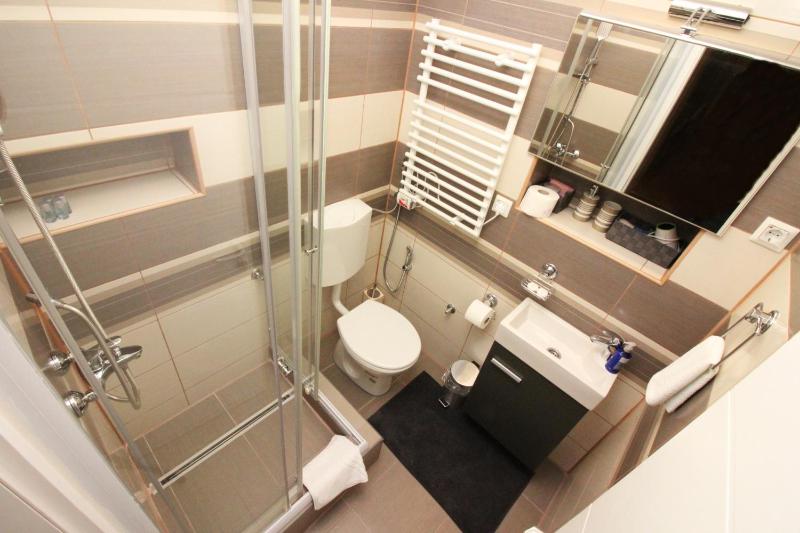 One-Bedroom Apartment image 2