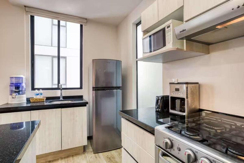 HOM Roma l Unique 1 BR in Mexico City - image 10