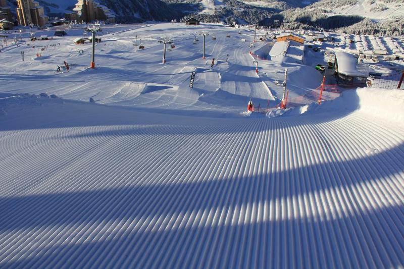 Berberis 1 apartment - Snow and Trek - Morzine - image 25