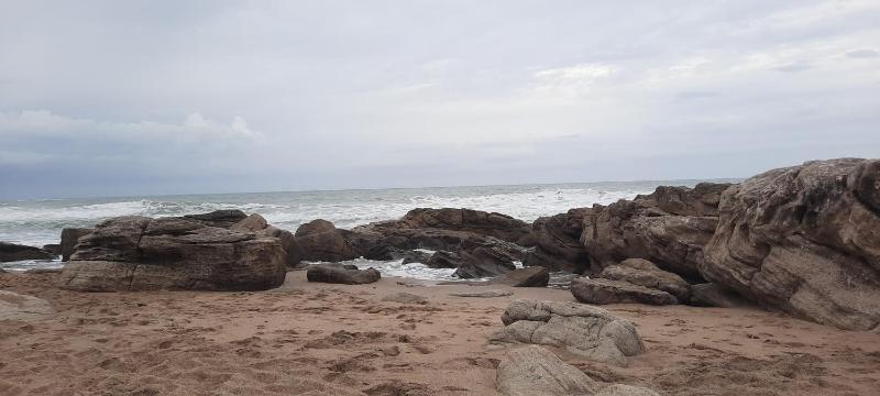 Belgrano mdq - image 15