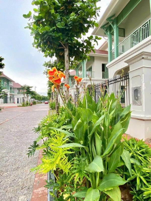 Opus Villas Tropical Phu Quoc - image 1