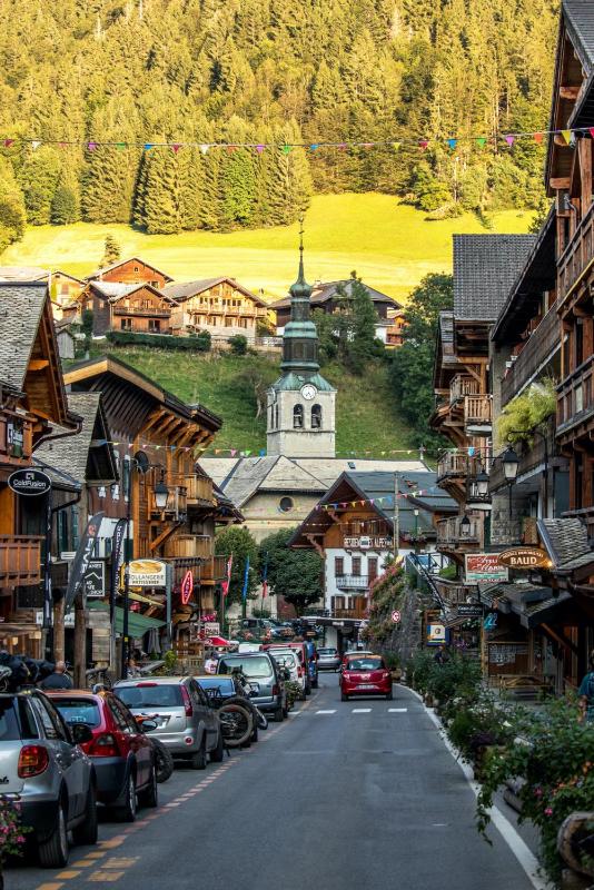Lodge 4 Apartment 9- Snow and Trek - Morzine - image 25