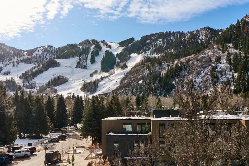 White Elephant Aspen - image 30