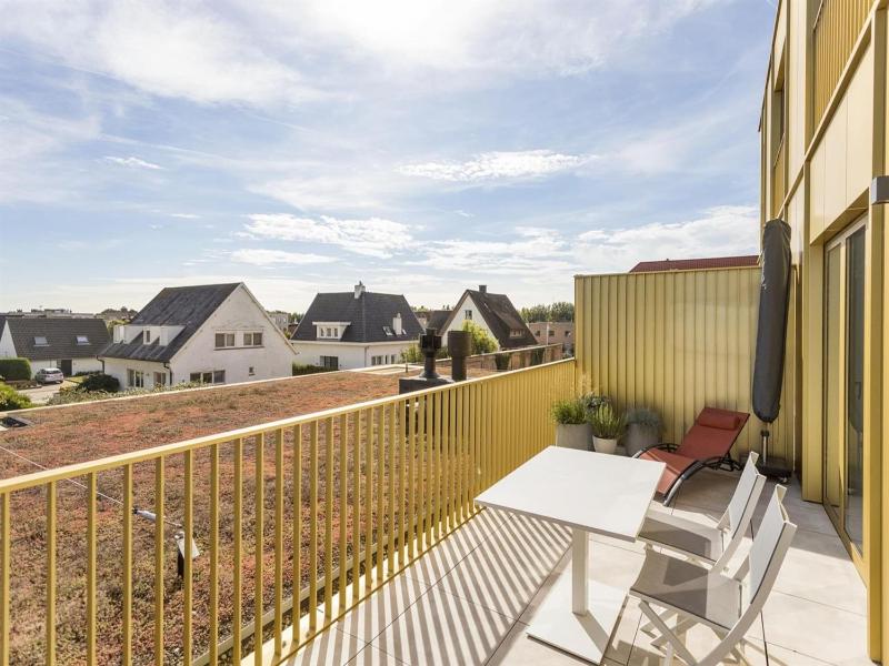 Flat in Blankenberge near the Beach - image 20