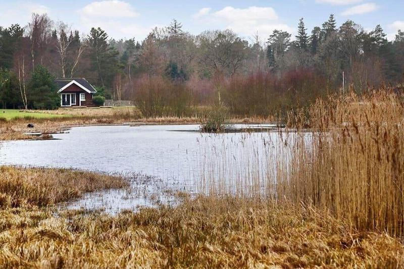 84231-Ebeltoft-Magevej-50 - image 13