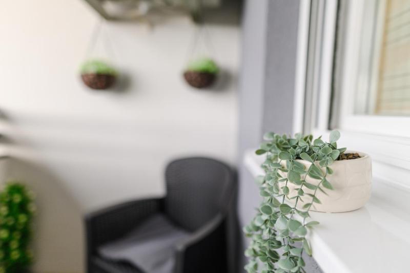 Apartmani LORENA Sokobanja nedaleko od akvaparka - image 9