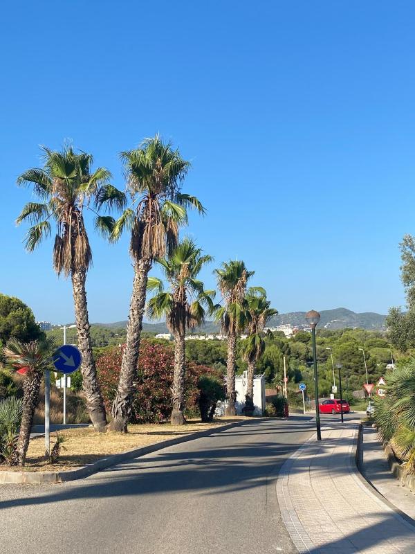 Villa Bon Neguit Amaizing View High on Golf and Sea in Sitges High comodity villa Suny oriented Best Area of Sitges - image 16
