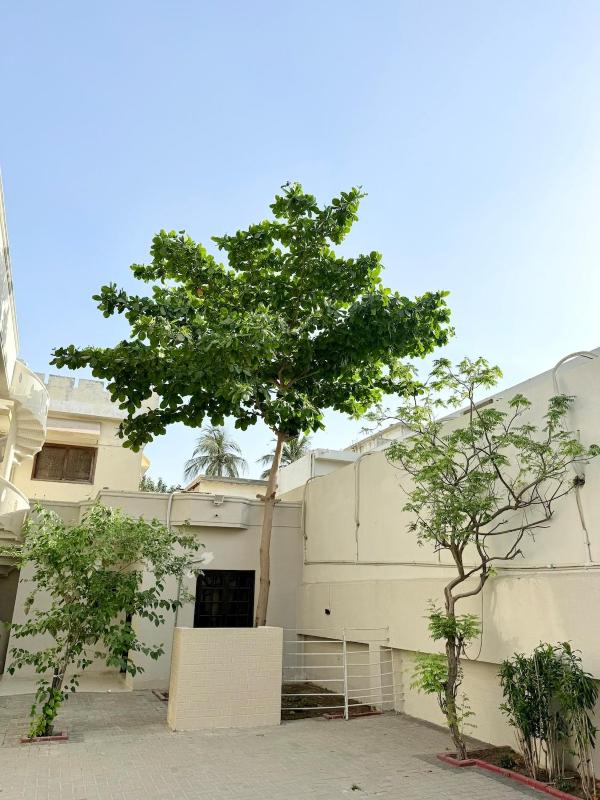 Blissful Stay Royal Studio - image 3