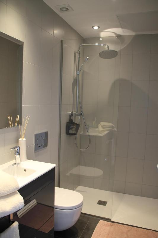 One-Bedroom Apartment image 2