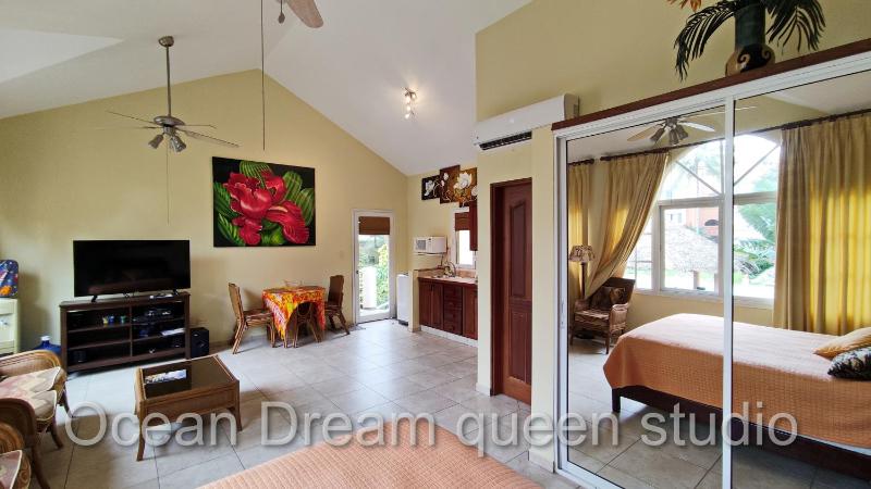 Ocean Dream - image 10