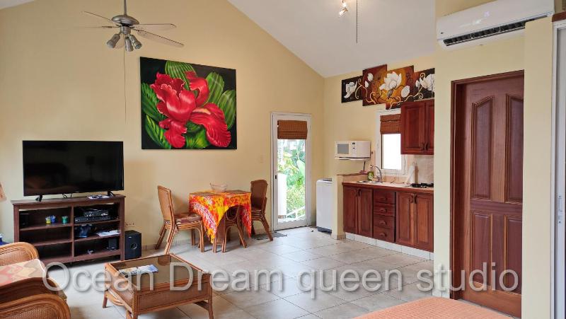 Ocean Dream - image 22