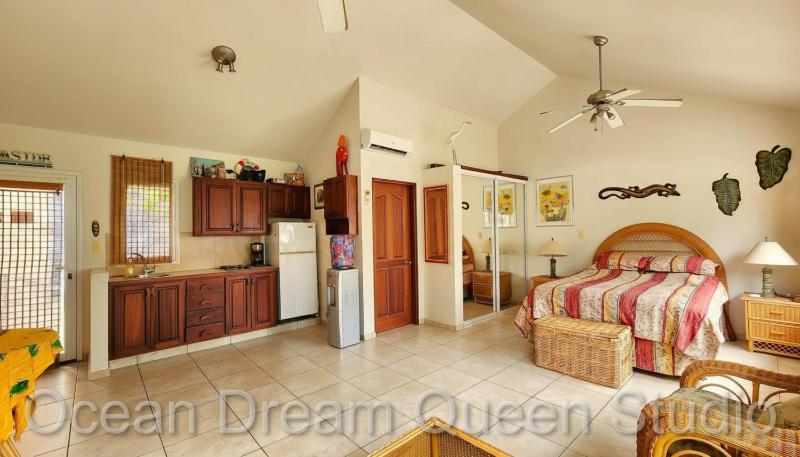 Ocean Dream - image 9