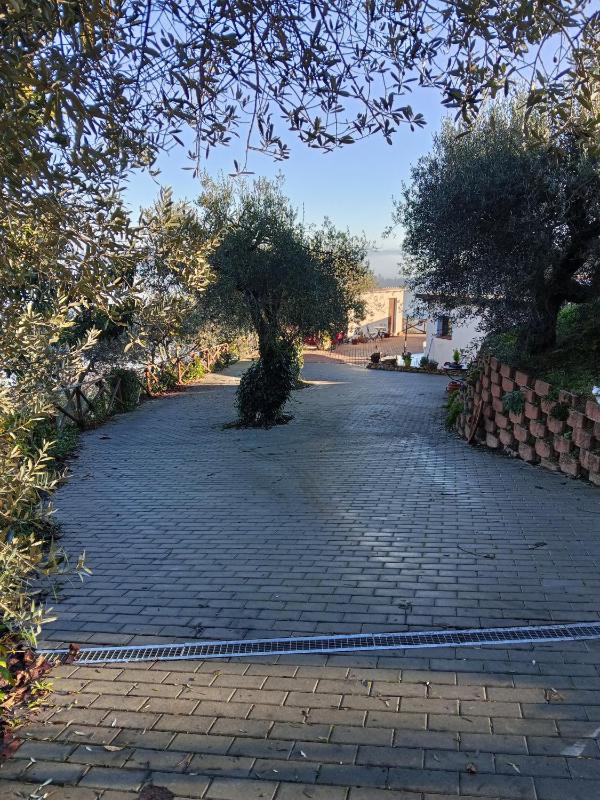 la dimora degli angeli - image 24