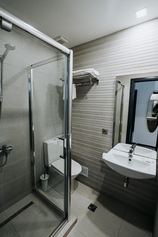 Pension Belascu - image 11